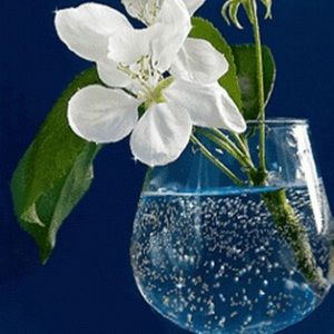 Meet your Posher, Mallie sherry.w.n